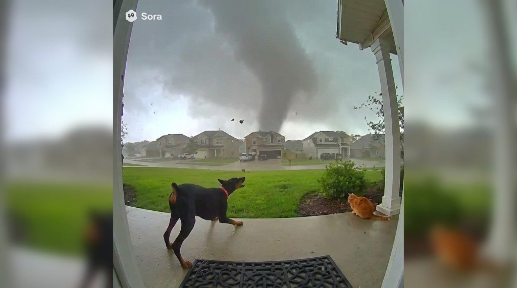 Türklingel-Kamera filmt Tornado in der Nachbarschaft – Hund und Katze im Vordergrund